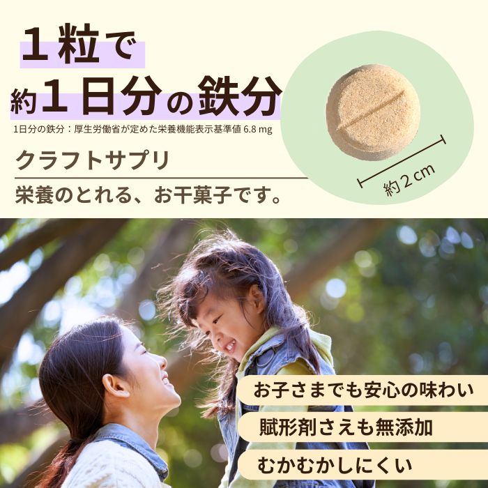 クラフトサプリ　天然鉄